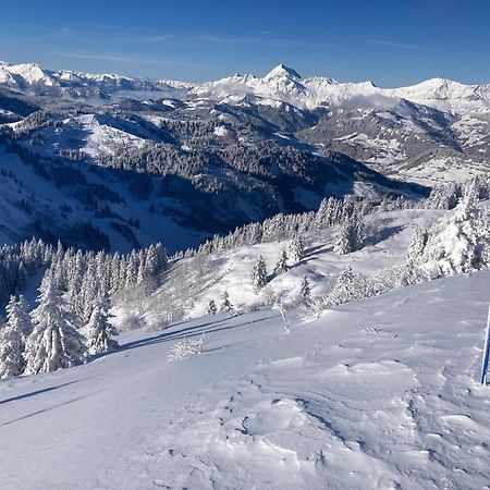 Chalets Savoie Les Chalets D'Heidi Notre-Dame-de-Bellecombe Exteriér fotografie