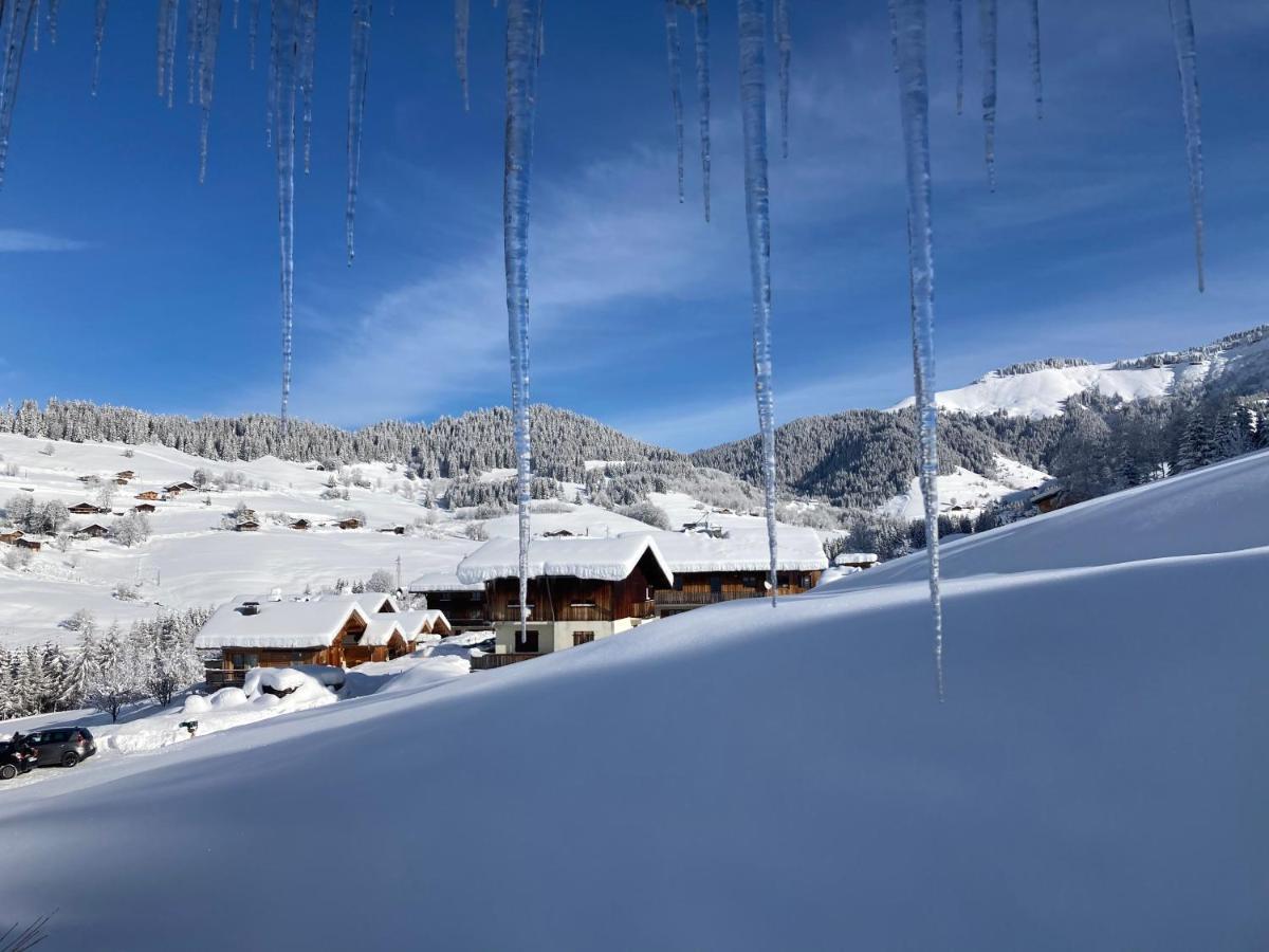 Chalets Savoie Les Chalets D'Heidi Notre-Dame-de-Bellecombe Exteriér fotografie