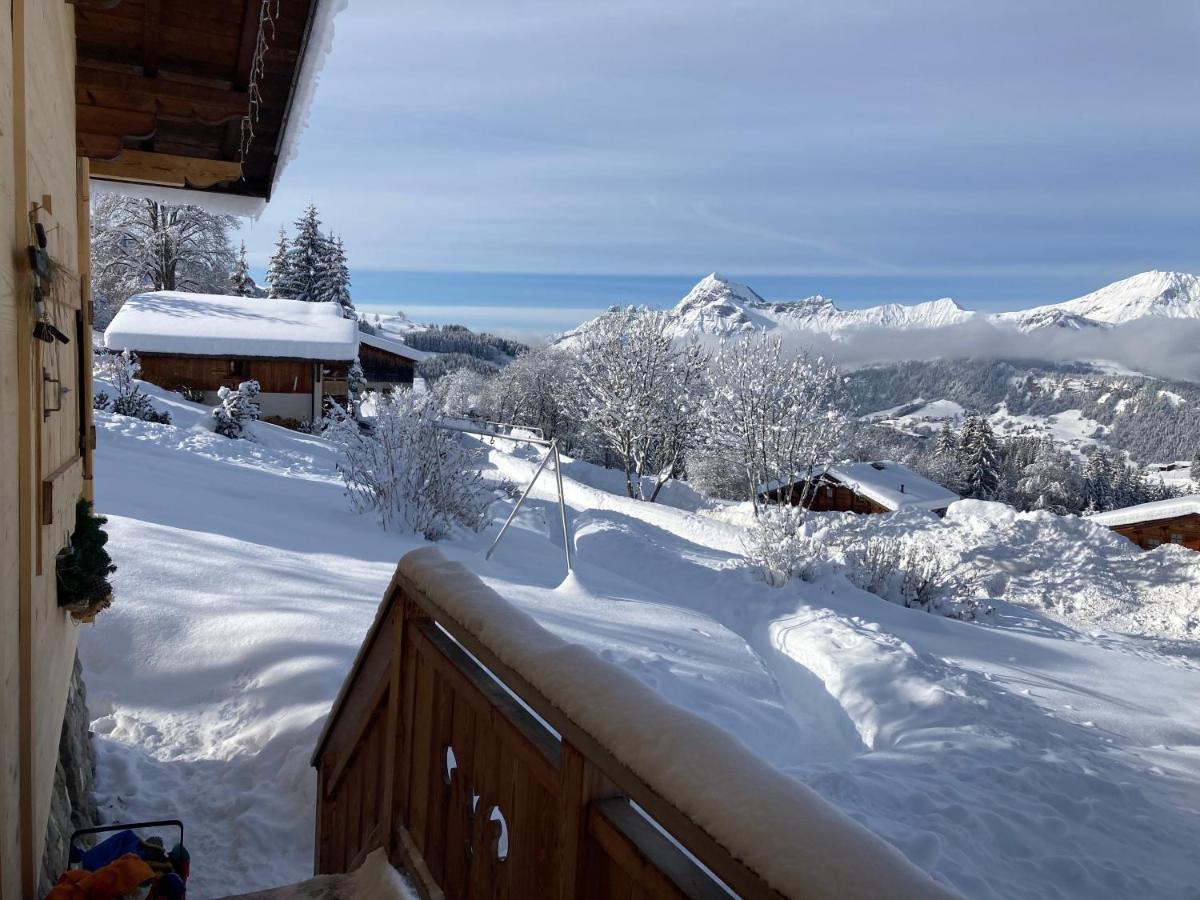 Chalets Savoie Les Chalets D'Heidi Notre-Dame-de-Bellecombe Exteriér fotografie