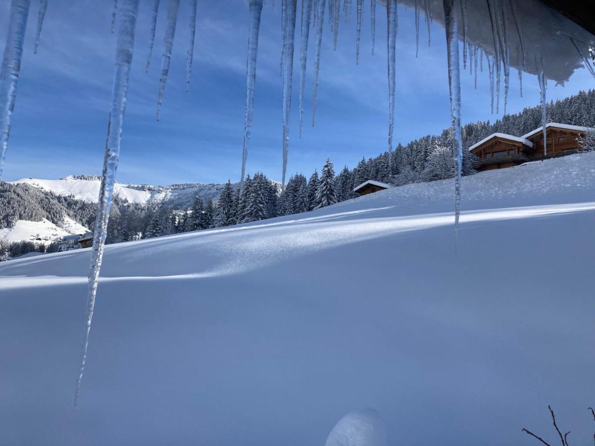 Chalets Savoie Les Chalets D'Heidi Notre-Dame-de-Bellecombe Exteriér fotografie