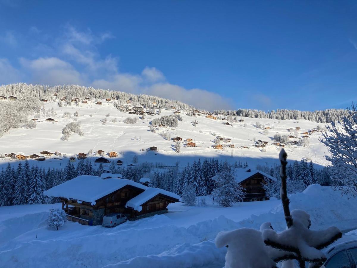 Chalets Savoie Les Chalets D'Heidi Notre-Dame-de-Bellecombe Exteriér fotografie