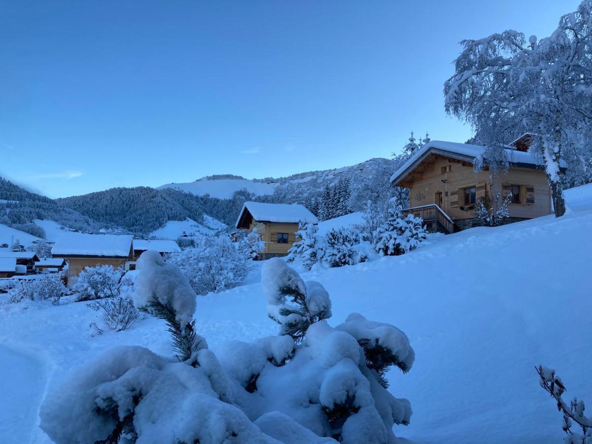 Chalets Savoie Les Chalets D'Heidi Notre-Dame-de-Bellecombe Exteriér fotografie