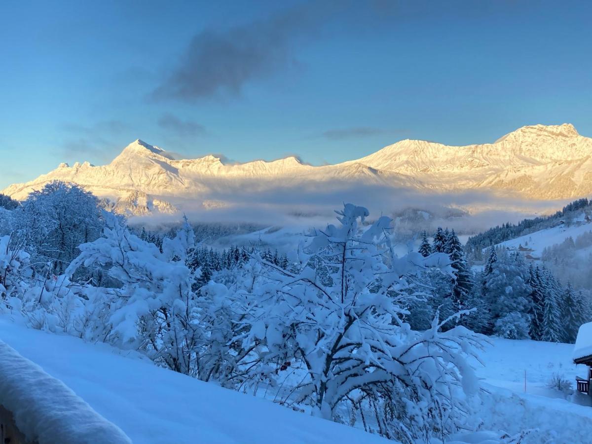 Chalets Savoie Les Chalets D'Heidi Notre-Dame-de-Bellecombe Exteriér fotografie