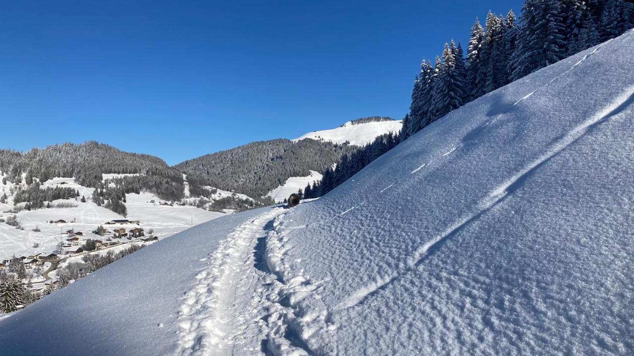 Chalets Savoie Les Chalets D'Heidi Notre-Dame-de-Bellecombe Exteriér fotografie