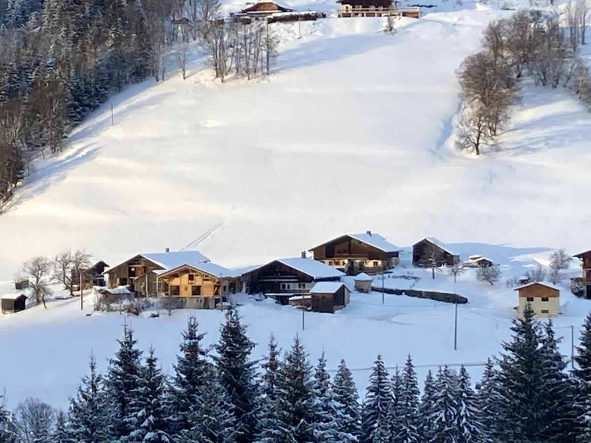 Chalets Savoie Les Chalets D'Heidi Notre-Dame-de-Bellecombe Exteriér fotografie
