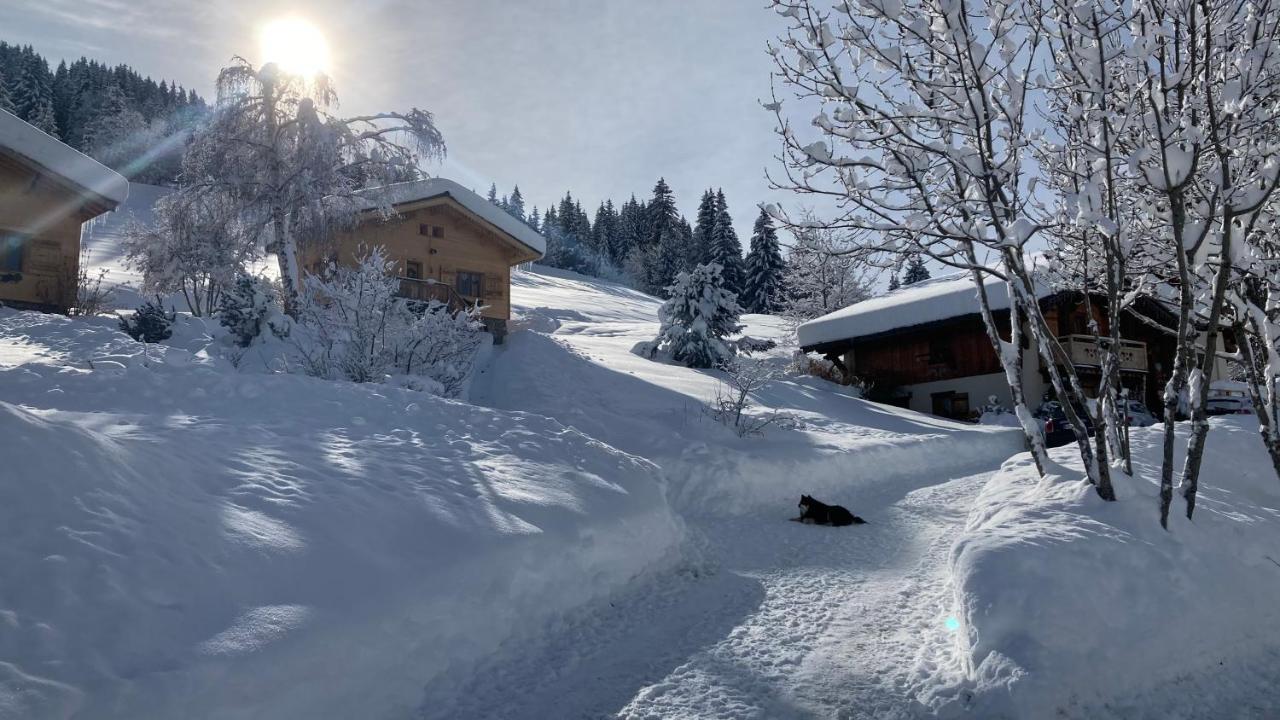 Chalets Savoie Les Chalets D'Heidi Notre-Dame-de-Bellecombe Exteriér fotografie