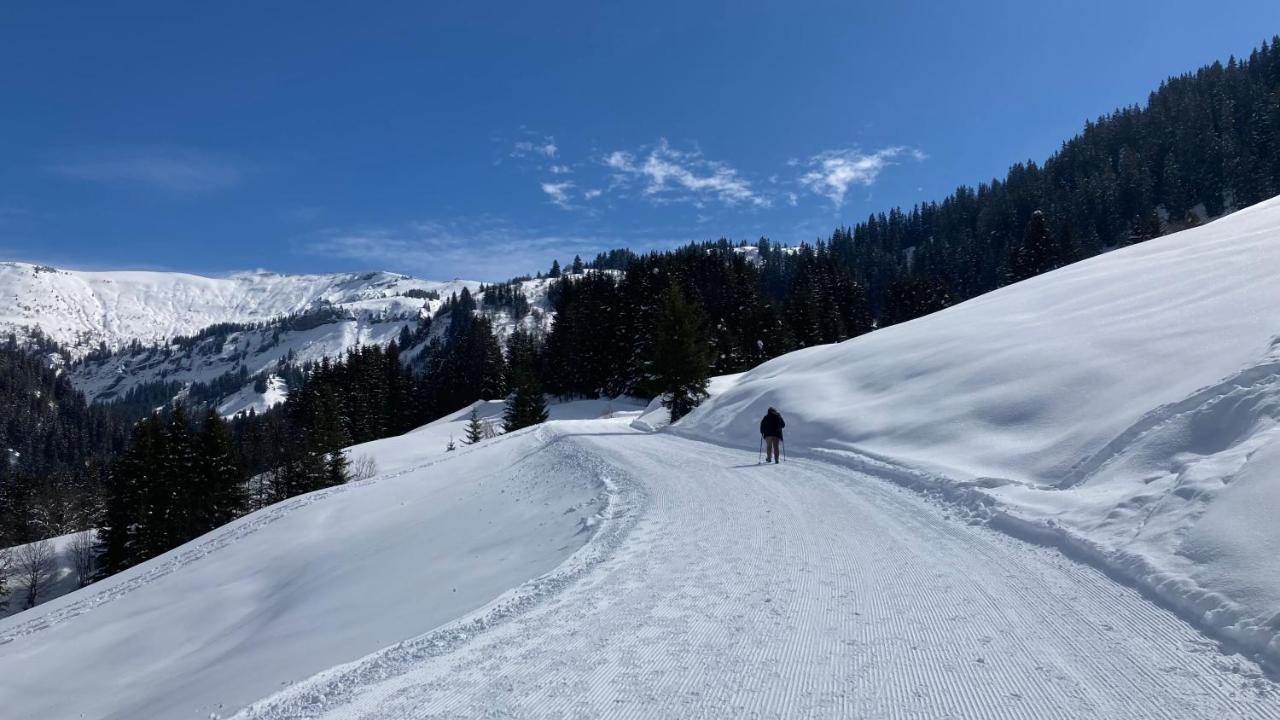 Chalets Savoie Les Chalets D'Heidi Notre-Dame-de-Bellecombe Exteriér fotografie