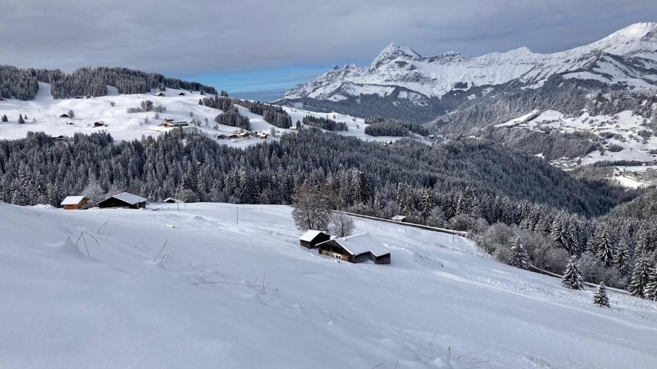Chalets Savoie Les Chalets D'Heidi Notre-Dame-de-Bellecombe Exteriér fotografie