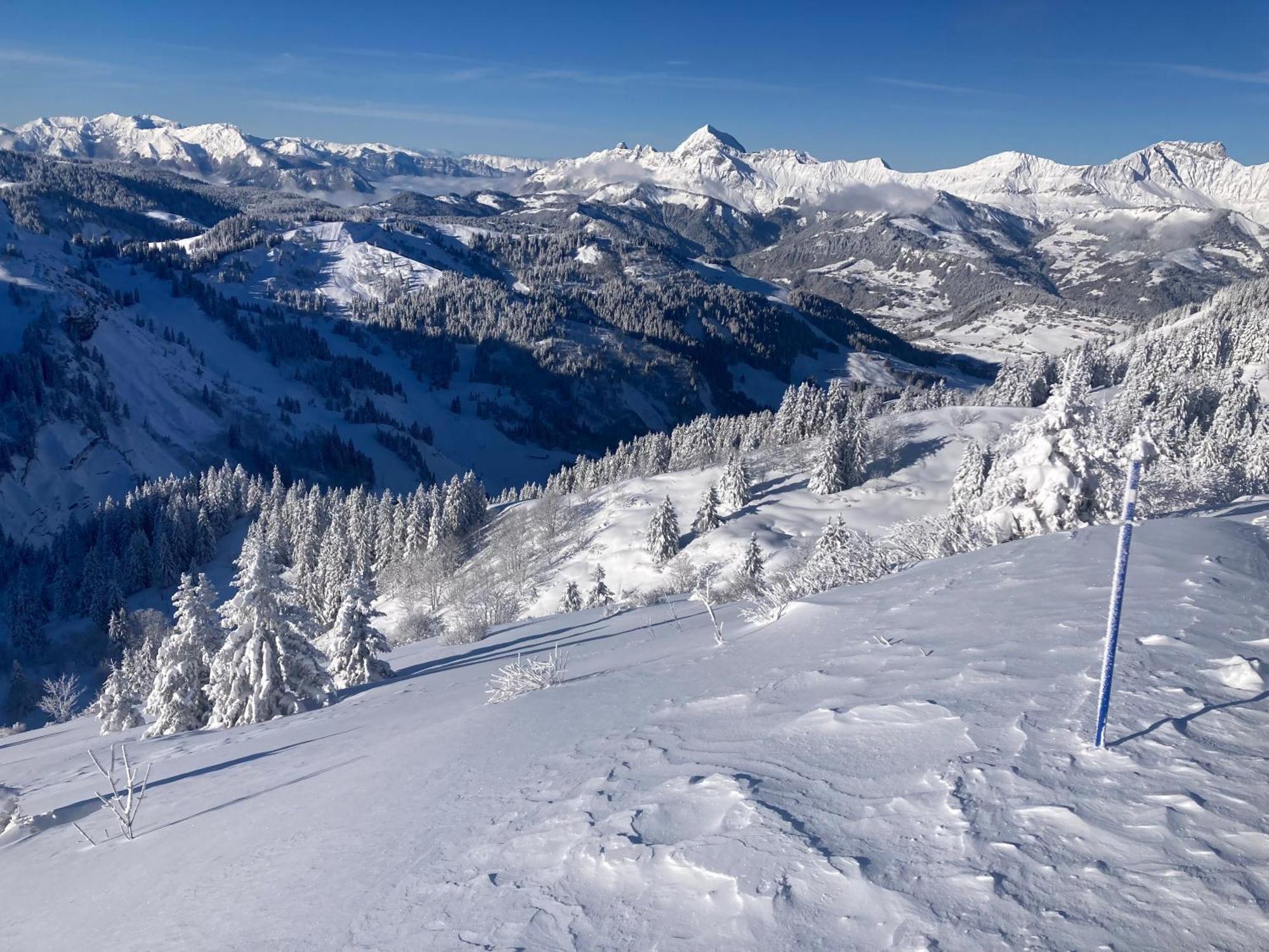 Chalets Savoie Les Chalets D'Heidi Notre-Dame-de-Bellecombe Exteriér fotografie