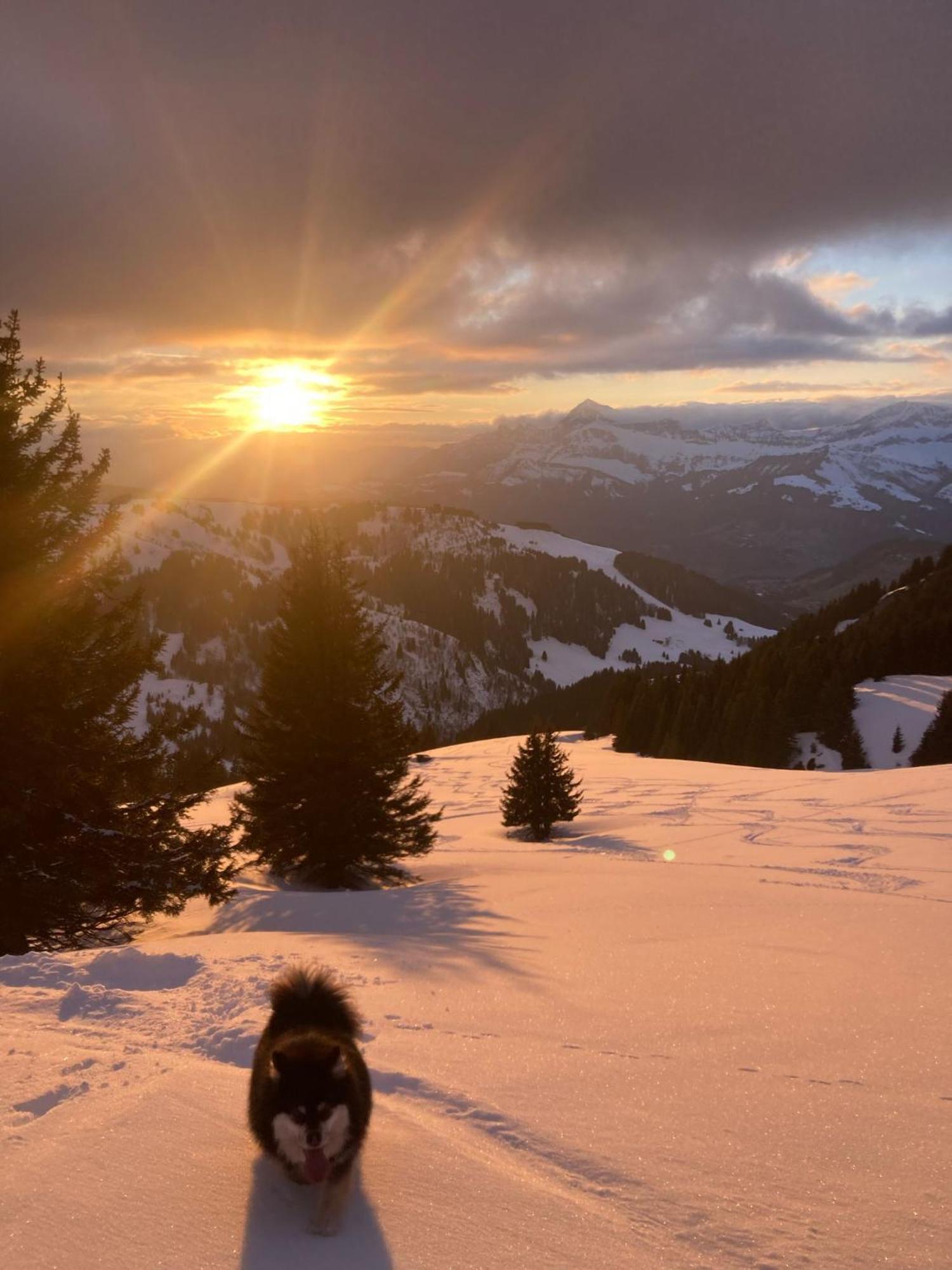 Chalets Savoie Les Chalets D'Heidi Notre-Dame-de-Bellecombe Exteriér fotografie