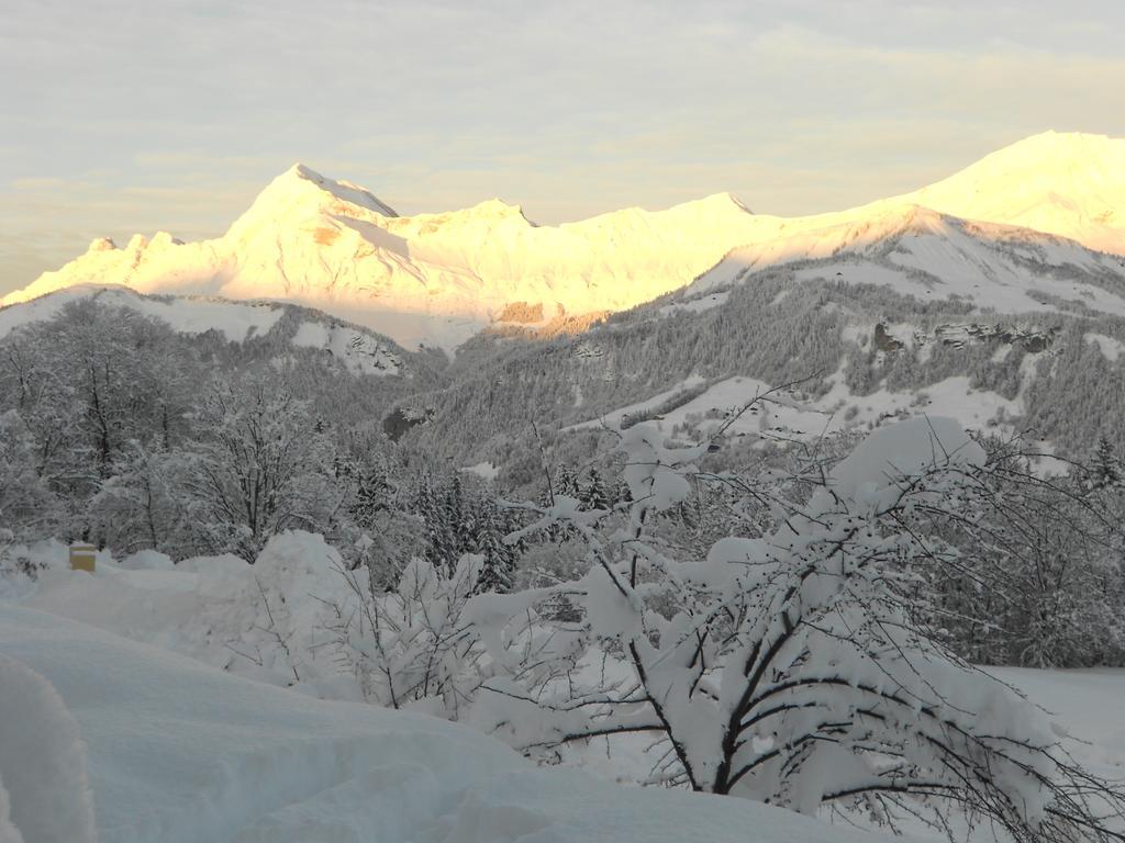 Chalets Savoie Les Chalets D'Heidi Notre-Dame-de-Bellecombe Pokoj fotografie