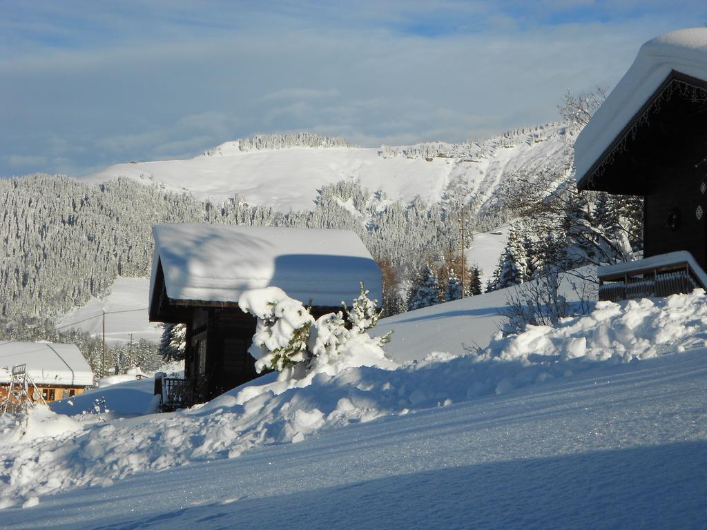Chalets Savoie Les Chalets D'Heidi Notre-Dame-de-Bellecombe Exteriér fotografie