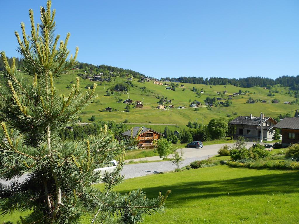 Chalets Savoie Les Chalets D'Heidi Notre-Dame-de-Bellecombe Exteriér fotografie