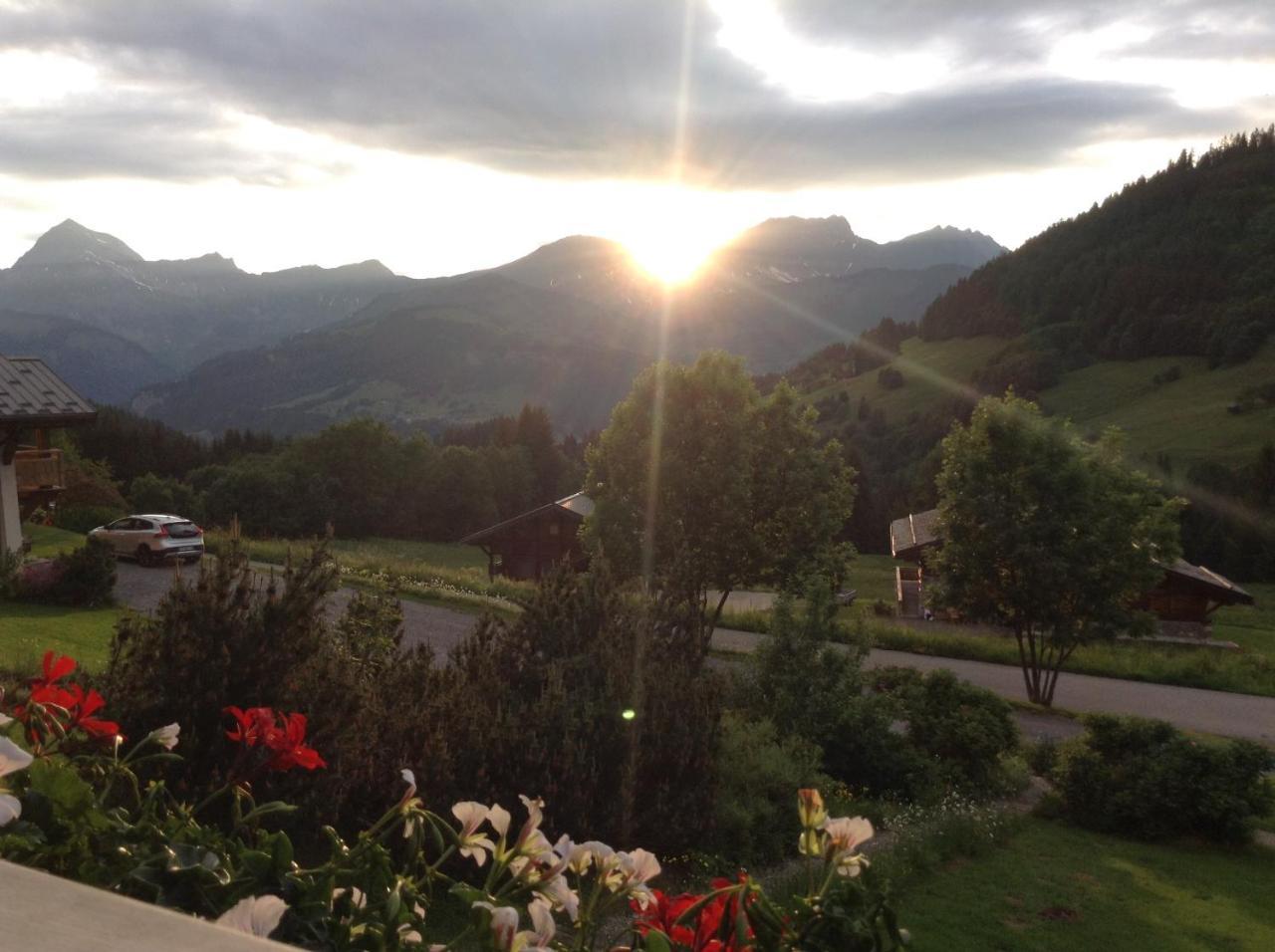 Chalets Savoie Les Chalets D'Heidi Notre-Dame-de-Bellecombe Exteriér fotografie