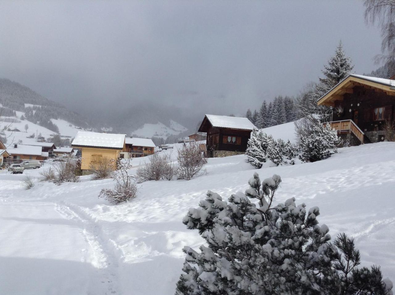 Chalets Savoie Les Chalets D'Heidi Notre-Dame-de-Bellecombe Exteriér fotografie